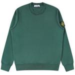 Product Color: STONE ISLAND Sweater van katoen kwaliteit, groen